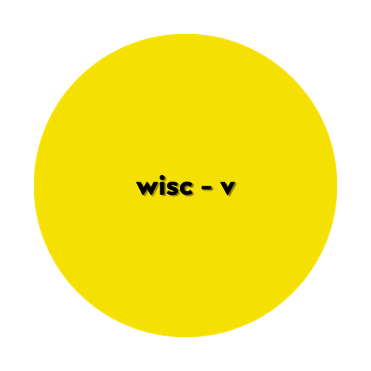 WISC-V